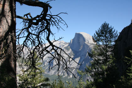 Half Dome from Four Mile Trail