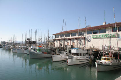Boats at Fisherman's Wharf